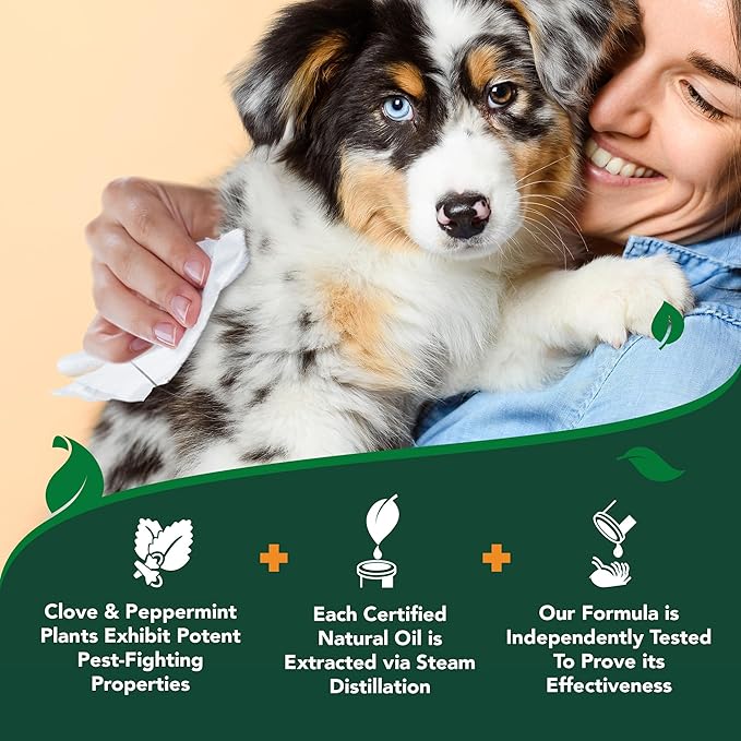 Vet's Best Natural Flea and Tick Wipes for Dogs – Natural Plant-Based Wipes for Flea and Tick Prevention – Certified Essential Oils – Pest Control for Kennels and Home Use – Made in USA – 50 Count