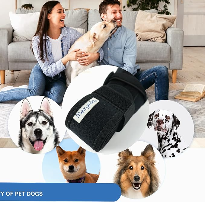 Dog Knee Brace for Torn ACL, Hind and Rear Leg Support, Ligament Injury & Joint Pain Relief, Color: Black