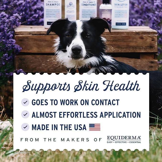 Equiderma Barn Dog Skin Lotion, Topical Solution for Skin Problems, Dog Grooming Supplies, 16 Oz.