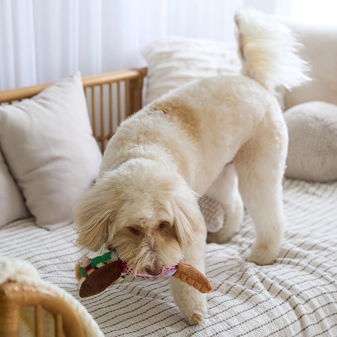 SPOT Bird Calls Plush Dog Toy with Realistic Bird Sound – 12" Sound Chip Toy for Dogs, One of Three Assorted Styles, Engaging Indoor Play for Small and Medium Breeds
