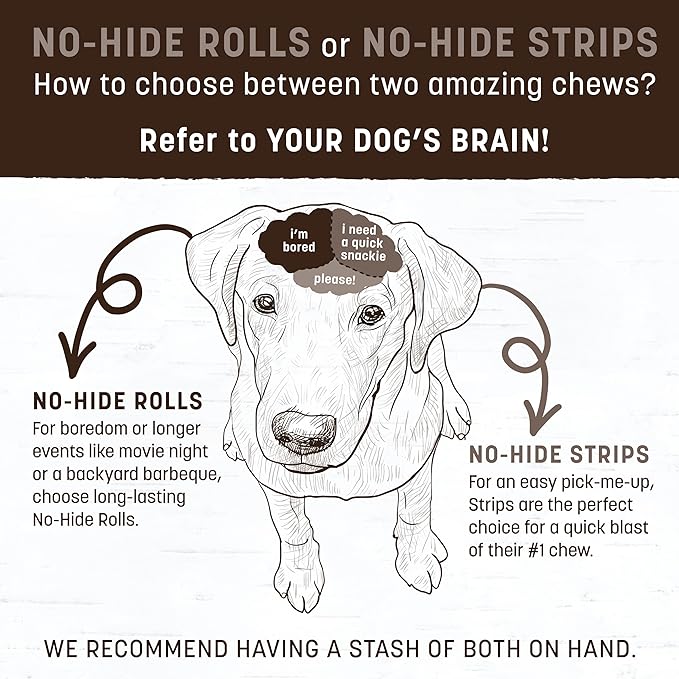 Earth Animal No Hide Chews - Long Lasting Rawhide Free Medium Dog Chews Rolls, Venison - 3 Count Value Pack