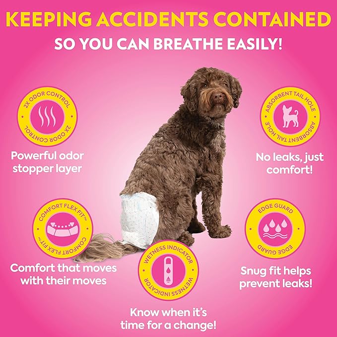 Out! PetCare Disposable Dog Diapers Female, Potty Training, Dog Diapers, Female Doggie in Heat, Puppy Training, Incontinence, Puppy Essentials 18”-25” Waist (M/L, 32ct)