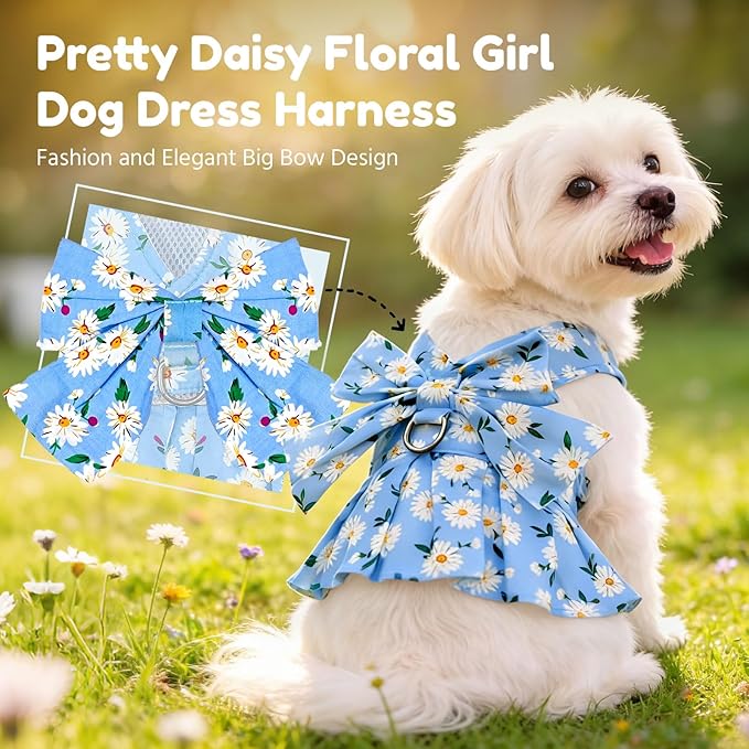 BAEJMJK Dog Dress Bowknot Harness Leash Set for Small Dogs Cats Daisy Floral Girl Dog Dresses Cute Puppy Princess Clothes Pet Doggy Outfits Spring Summer Breathable Dresses(Blue,X-Small)