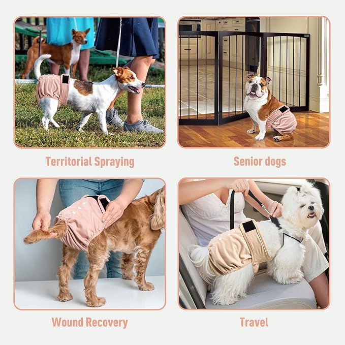 Washable Reusable Female Dog Diapers(5 Pack) Small Medium Large Doggie Puppy & Doggy Dog Diaper, Period Panties in Heat X-Large Pink Purple Brown Green Blue