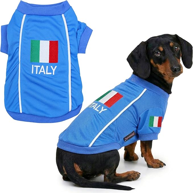 Parisian Italy Dog Jersey - Breathable Mesh Puppy Football Jersey - Stretch Sporty Dog Clothes - Summer Shirts for Large Dogs - Soccer Jersey for Dogs - Sportswear Pet Clothes - Team Italy Apparel