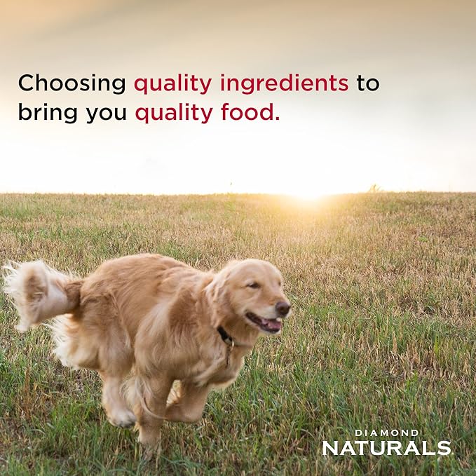 Diamond Naturals Adult Dry Dog Food Lamb Meal and Rice Formula Made with High Quality Lamb Protein, Probiotics and Essential Nutrients to Support Balanced and Overall Health 40Lb