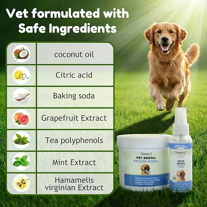 Pet Dental Finger Wipes for Dogs & Cats – 50 Mint Flavor Dog Dental Wipes + Mint Fresh Breath Spray, Dog Tooth Brushing Kit, Helps Remove Bad Breath & Plaque & Tartar Buildup