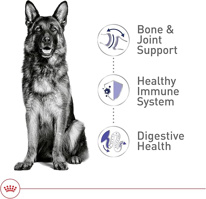 Royal Canin Size Health Nutrition Large Adult Dry Dog Food, 30 lb Bag
