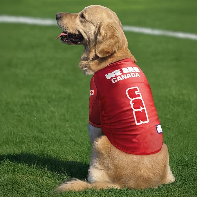 Littlearth Stretch Pet Jersey - Officially Licensed FIFA World Cup 2026 Teams, Sizes: X-Small to X-Large