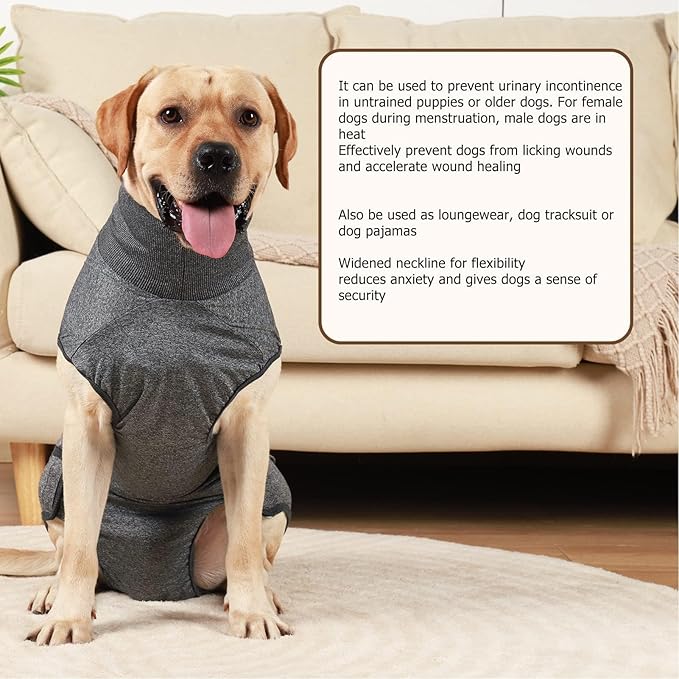 Sanitary Dog Pantie Full Body Dog Diaper - Reusable Physiological Clothing for Male & Female Dogs - Menstruation & Neuter Recovery Diapers - Washable (M)