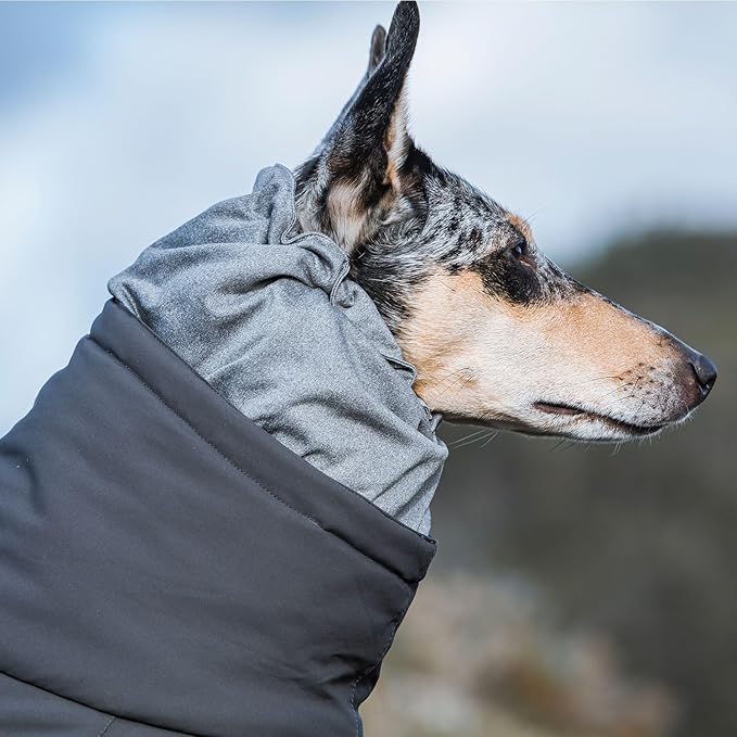 Hurtta Extreme Overall, Dog Snowsuit, BlackBerry, 24M