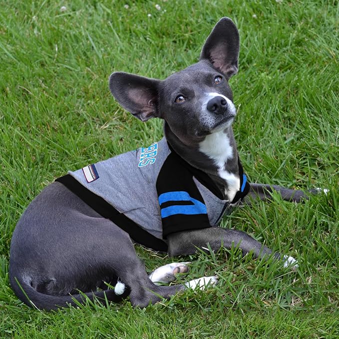 Pets First Carolina Panthers Hoodie for Dogs & Cats. NFL Football Licensed Dog Hoody Tee Shirt, Small. Sports Hoody T-Shirt for Pets. Licensed Sporty Dog Shirt (CAR-4044-SM)