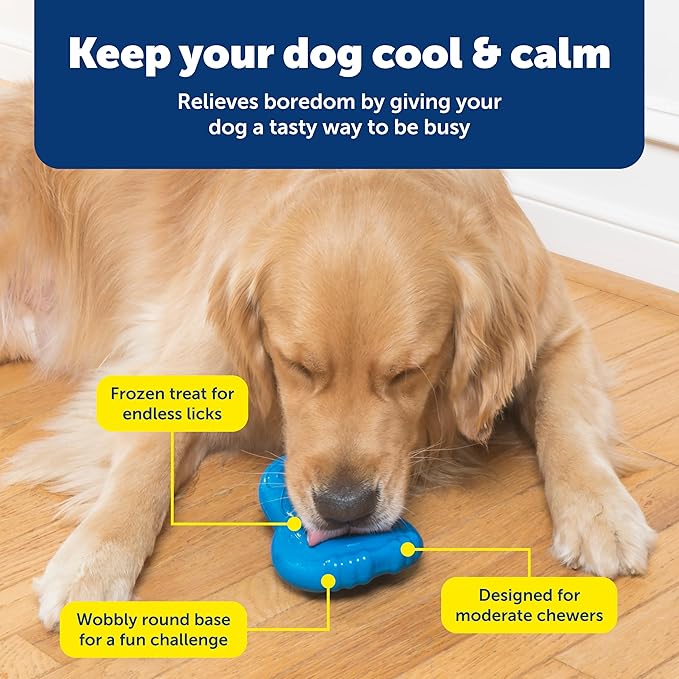PetSafe Freezable Treat Holding Chilly Penguin - Durable,Vanilla-Scented,Rubber,Freezable Interactive Pet Puzzle for Boredom or Separation Anxiety - for Medium & Large Dogs,(Pack of 2)