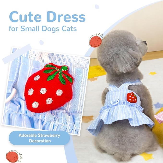Cute Strawberry Small Dog Dress with D-Ring Princess Lace Girl Female Dog Clothes Spring Summer Breathable Mesh Pet Puppy Cats Harness Dress for Shih Tzu Yorkies Chihuahua Maltese(Blue,Medium)