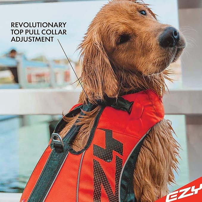 EzyDog DFD X2 Dog Life Jacket - Adjustable Swimming Safety Life Vest Preserver with Continuous Neck Flotation, Reflective Trim, & Grab Handle (4XS, Blue)
