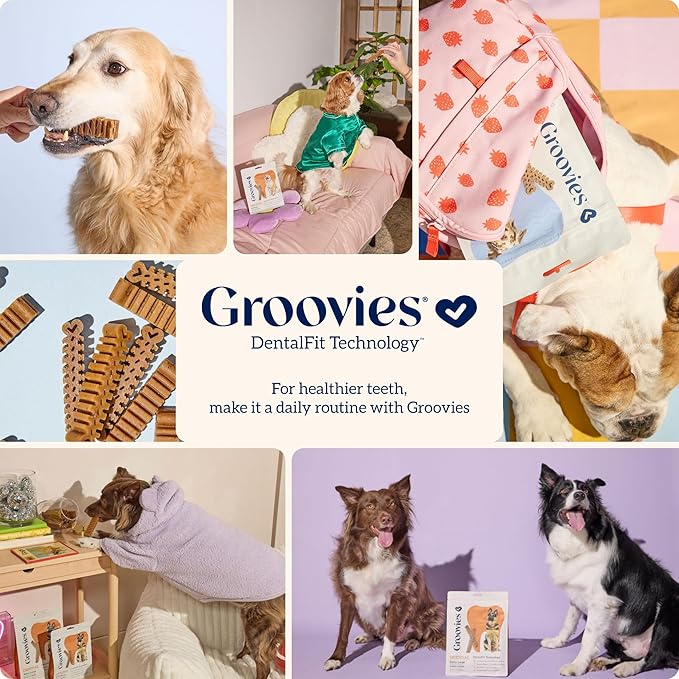 Groovies Gentle & Flexible Senior Dog Dental Chews, Contact-Cleaning Design Supporting Tartar Control & Fresh Breath, Oral Care Treats, USA Manufactured, Patented DentalFit Tech, XLarge Dogs, 8 Chews