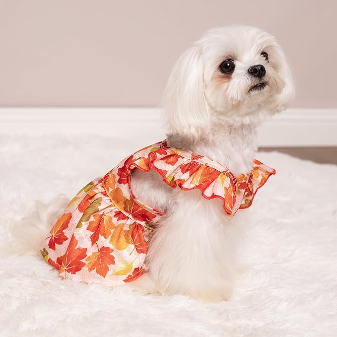Fitwarm Maple Dog Dress, Ruffled Doggy Thanksgiving Dress, Fall Dog Clothes for Small Dogs Girl, Pet Outfit, Red, Orange, XS