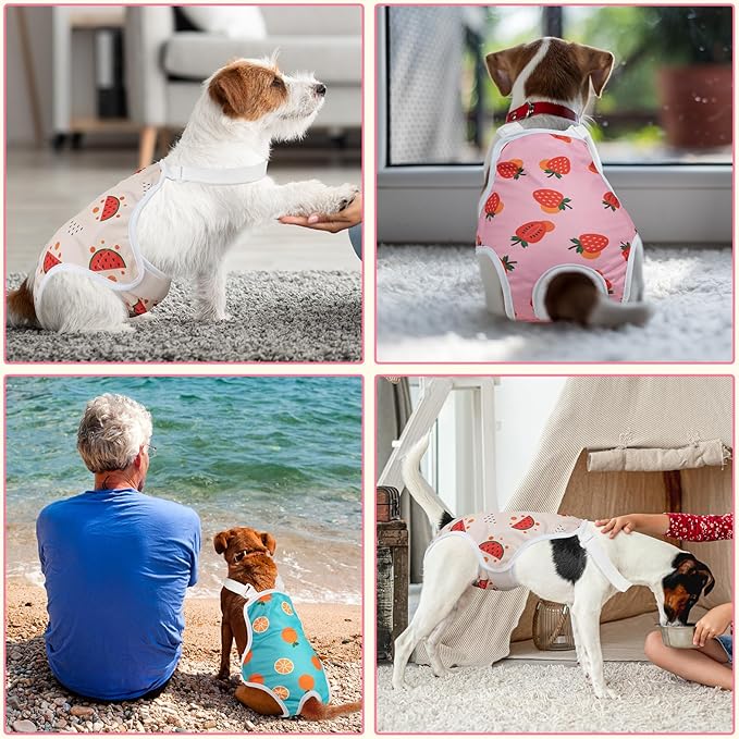 3 Pack Washable Female Dog Diaper Onesie Sanitary Pantie with Adjustable Suspender, Reusable Fixed Doggie Diapers, Super Absorbent Leakproof for Small Medium Large Dog in Heat Cycle