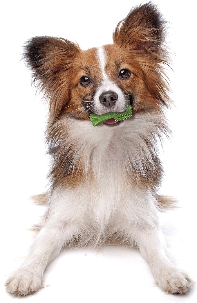 Nylabone Nutri Dent Natural Dental Chews for Dogs, Limited Ingredient Dog Treats Made in the USA, Clean Teeth & Fresh Breath, Healthy Dog Chews, Fresh Breath Flavor, For X-Small Dogs, (160 Count)