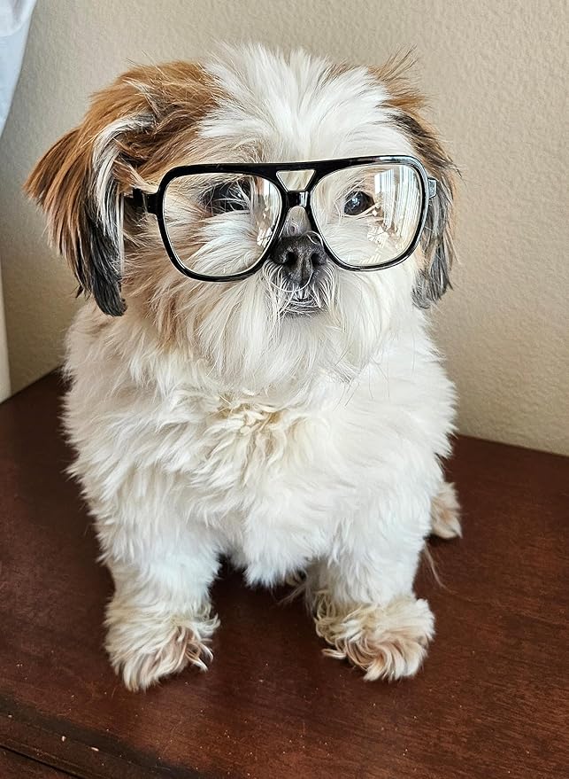 G002 Dog Pet Clear Lens Costume Glasses Small to Medium Breeds 12LBS~30LBS Prop Photoshoot Sunglasses (Turbo Black-Clear)