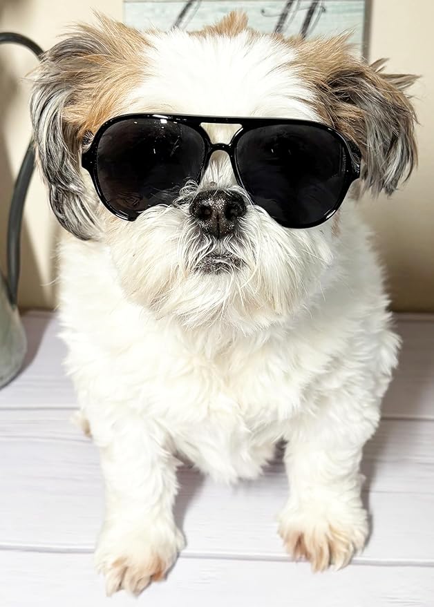 G048 Dog Pet Cat Costume Retro Aviator Sunglasses Adjustable for Small-Medium Dogs Approximately 12-30 lbs Party Prop Cosplay Photoshoot (Aviator Black)