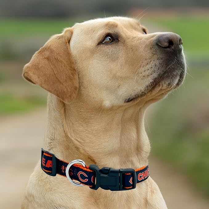 Pets First NFL Chicago Cubs Licensed PET COLLAR, Small - Heavy-Duty, Strong, and Durable Dog Collar. Available in 31 Football Teams and 4 Sizes