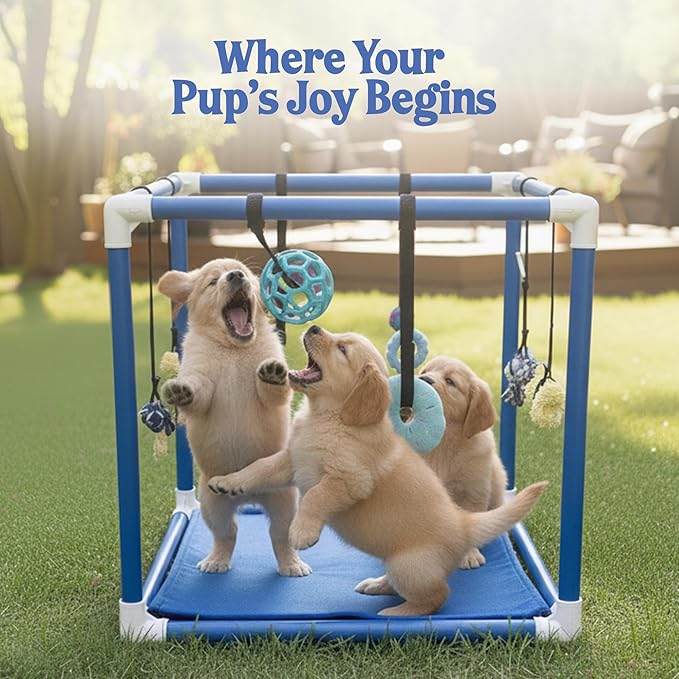 Race&Herd Puppy Play Gym, Dog Play Mat, 8 Bungee Straps Interactive Puppy Active Toys - Small Dog Jungle Gym 19.5" Frame with Playground Set Indoor Enrichment Activity Center (Red)