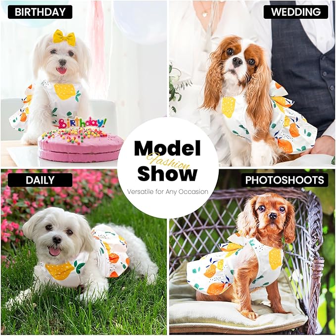 Cute Dog Dress Small Dog Clothes for Girls Female Puppy Outfits Yellow Lemon Pet Summer Clothes Bowknot Doggy Cat Princess Dress Harness for Holiday Birthday Party Costume Clothing(Yellow,M)
