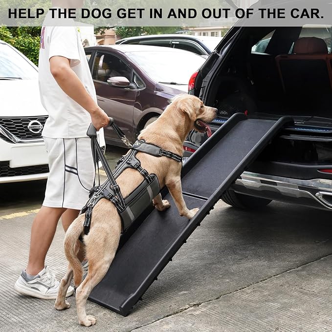 COODEO Mobility Dog Lift Harness, Emergency Carry Sling, Pet Rear Leg Support Rehabilitation Lifts Vest, Dog Carrier for Senior Dogs Joint Injuries, Arthritis (Military Green, M)