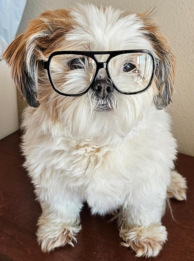 G002 Dog Pet Clear Lens Costume Glasses Small to Medium Breeds 12LBS~30LBS Prop Photoshoot Sunglasses (Turbo Black-Clear)