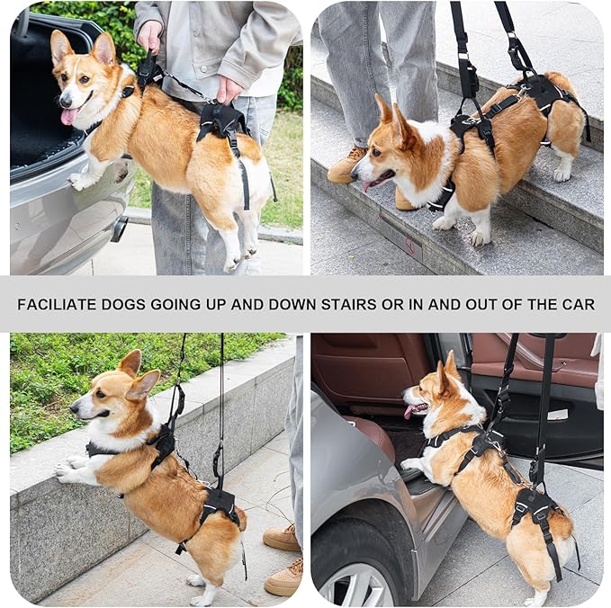Dog Lift Harness, Dog Lift Sling Carrier with Handle & Shoulder Sling, Support Harness for Rear Back Legs Helps,Disabled,Arthritis,Joint Injuries,Paralysis Up Stairs（Black,Extra Large）