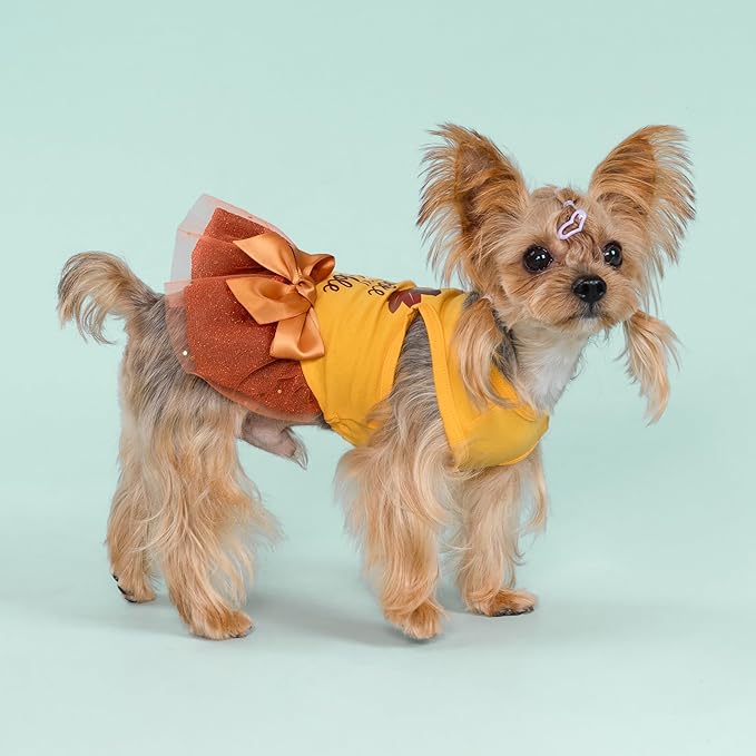 Fitwarm Gobble 'til You Wobble Dog Dress, Funny Thanksgiving Outfit for Small Dogs Girl, Festive Pet Clothes, Yellow, Orange, Small