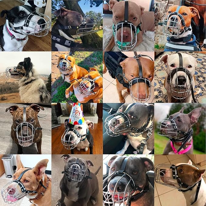 BRONZEDOG Pitbull Dog Muzzle Breathable Metal Basket for Large Dogs Amstaff Staffordshire Terrier Biting Chewing Barking (Leather, Gray)