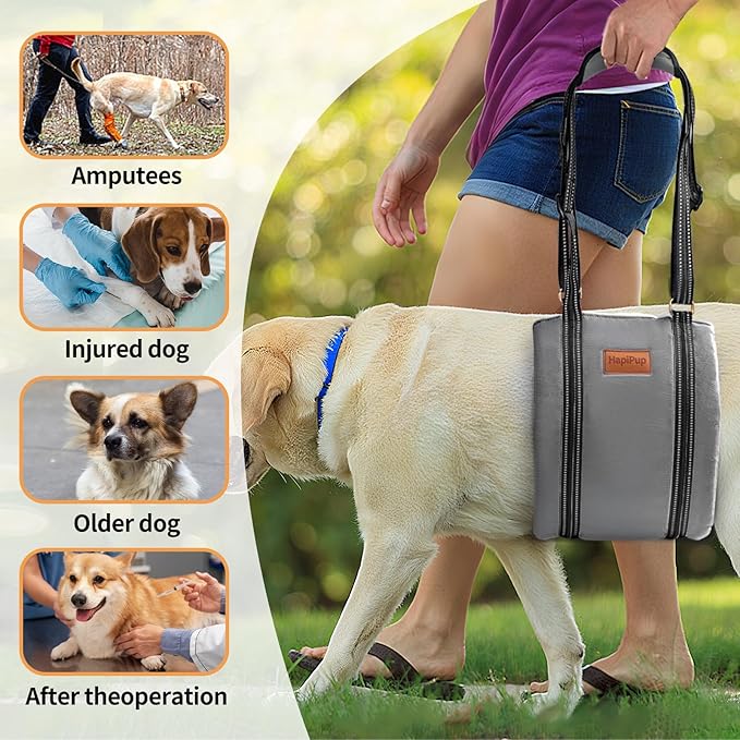 Dog Lift Harness for Large Dogs, Adjustable Comfortable Dog Sling with Handle, Knee & Rear Leg Support for Torn ACL Rehabilitation, Weak Rear Legs, Helps Senior, Disabled Canines(Grey,XL)