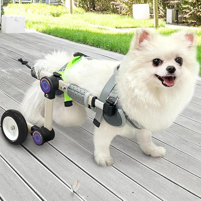 Adjustable Dog Wheelchair for Back Legs Mobility Support Lightweight Pet Wheelchair for Disabled Hind Legs Walking Stable Dog Cart for Pets, Pink (Small)