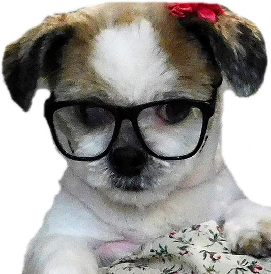 G015 Dog Small Breed up to 15lbs Pet Cat Costume Clear Lens Tiny 80s Retro Glasses (Black-Clear Lens)