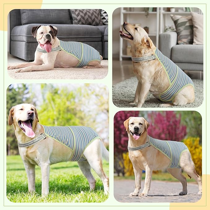 Dog Diapers Female,Female Dog Diapers for Heat Large Dogs, Washable Onesie Sanitary Pantie with Adjustable Suspender Washable, Reusable Period Panties Doggie Diaper, L