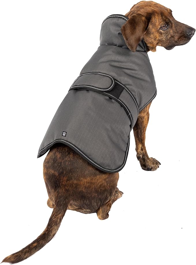 PetRageous 7303CGS Juneau Waterproof Cold Weather Dog Coat with Full Chest Coverage Leash Opening 11-Inch Long Heavyweight Jacket for Small Breeds and Puppies, Charcoal Grey