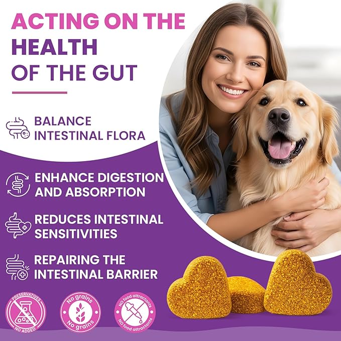 Dog Allergy Chews for Immune Support,500 PCs Formula Supports Skin Health, Relieve Itching Improve Digestion, Allergy and Immune for Dogs