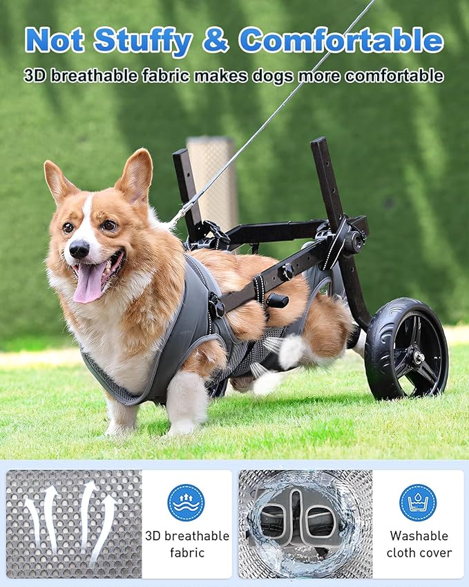 Large Dog Wheelchair for Hind Legs-Durable All-Terrain Wheels, Heavy Duty Aluminum Frame, Comfortable Breathable Mesh for Dogs, Hip Support System, Restores Mobility for Arthritis & Injuries