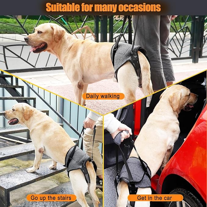 Dog Sling for Large Dogs Hind Leg Support Dog Lift Harness Adjustable Durable Rear Lift Support Harness for Weak Back Legs, Elderly, Injured, Senior, Arthritic, ACL Recovery Pet