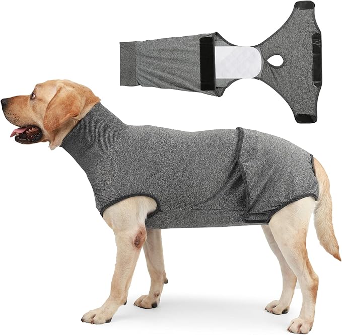 HEYWEAN Full Body Dog Diaper with a Puppy Nappies Physiological Dog Surgery Recovery Suit for Male Female Dogs