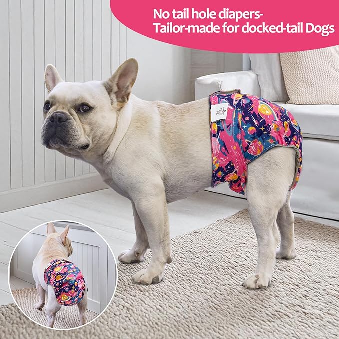 CuteBone Washable Dog Diapers Female No Tail Hole 3 Pack Reusable Doggie Period Training Pants for Docked-Tail Frenchie French Bulldog Boston Terrier Without Tail WWD34M