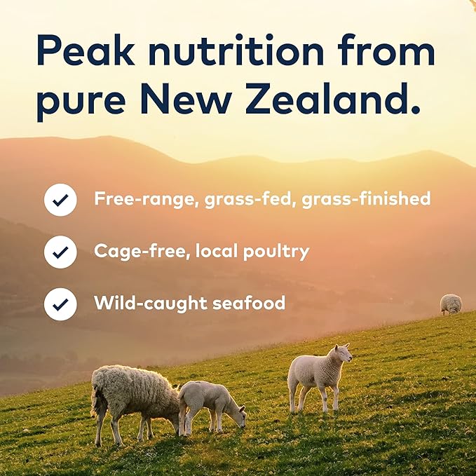 ZIWI Peak Canned Wet Dog Food – All Natural, High Protein, Grain Free, Limited Ingredient, with Superfoods (Venison, Case of 12, 6oz Cans)