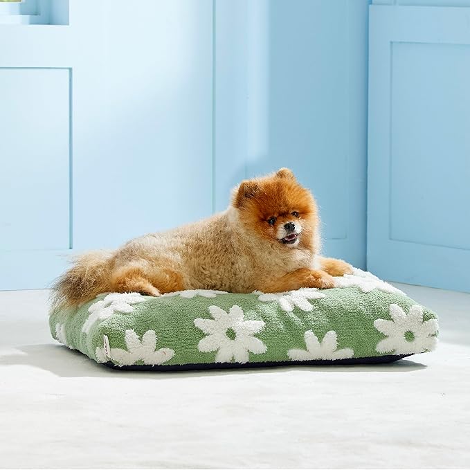 LE SURE Small Dog Beds-Thick Shredded Chopped Foam Pet Bed Gift Indoor with Removable Cover, Cute Modern Fuzzy Plush & Anti Slip Bottom, Green