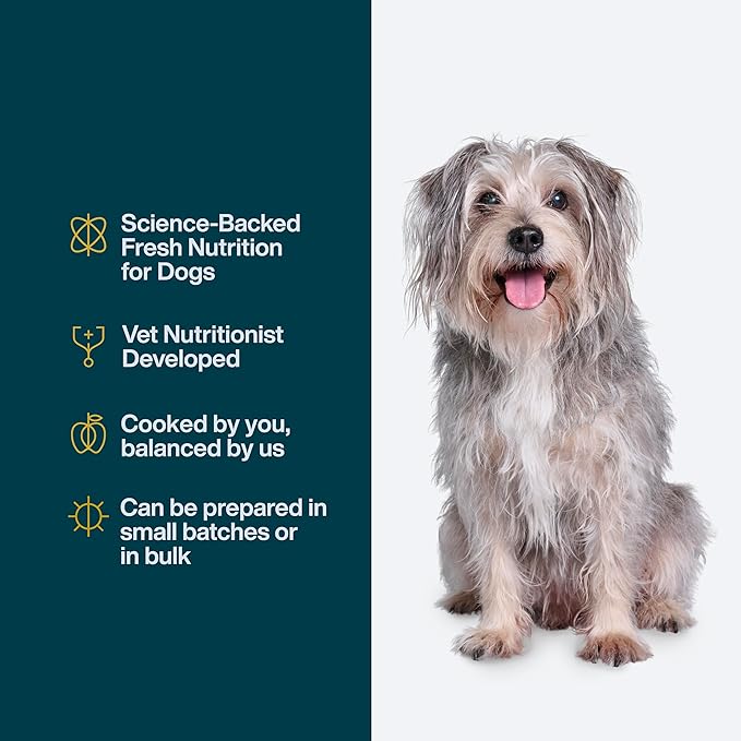 DIY Human Quality Dog Food - Beef and Russet Potato Recipe (129 Grams)