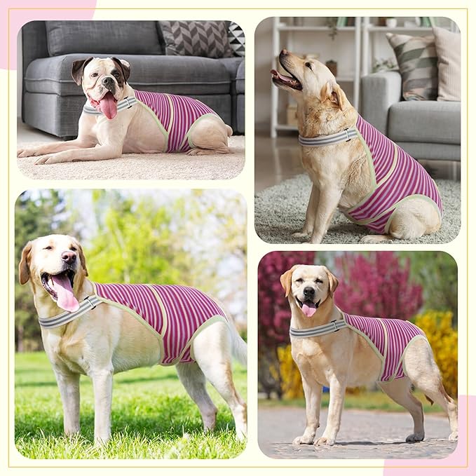 Dog Diapers Female,Female Dog Diapers for Heat Large Dogs, Washable Onesie Sanitary Pantie with Adjustable Suspender Washable, Reusable Period Panties Doggie Diaper, M