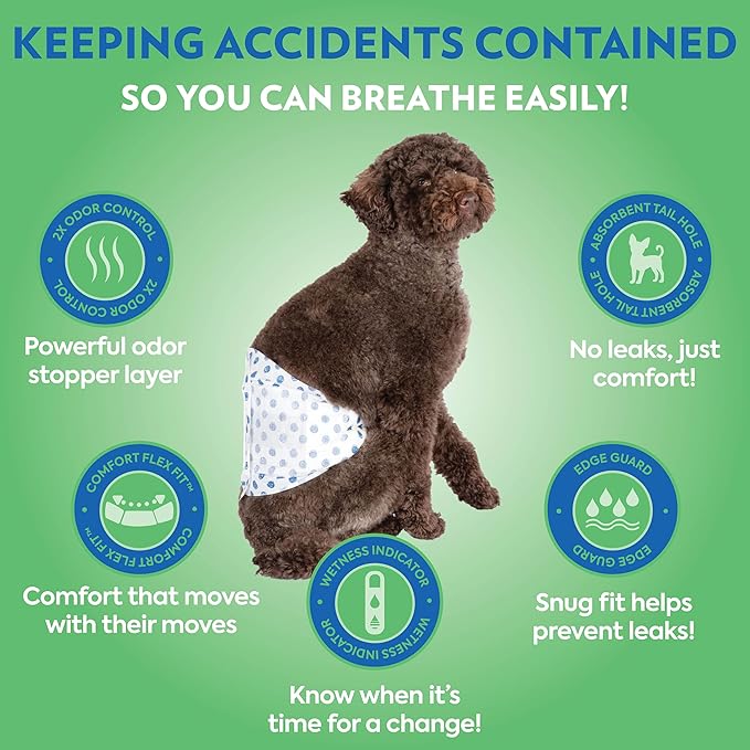 OUT! PetCare Disposable Dog Diapers Male, Puppy Belly Band, Potty Training, Doggie Diapers, Belly Bands for Male Dogs, Puppy Training, Adjustable Fasteners, Incontinence, (XS/S, 12ct) (Pack of 3)