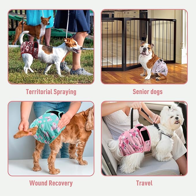 Washable Reusable Female Dog Diapers(5 Pack) Small Medium Large Doggie Puppy & Doggy Dog Diaper, Period Panties in Heat XX-Large Butterflies and Dragonflies