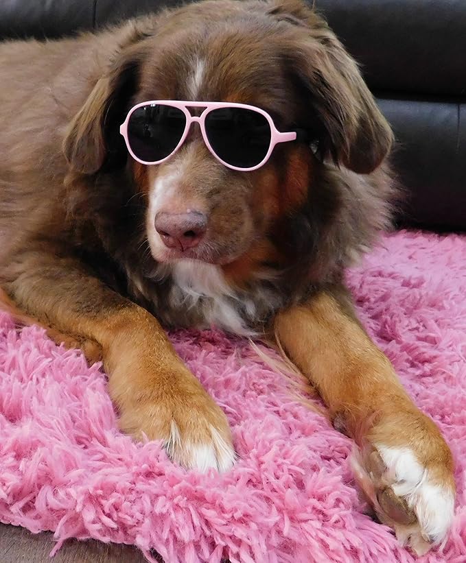 G010 Dog Pet Costume Prop Aviator Sunglasses Medium Breeds 20-40 lbs (2-Pack Black+Pink)
